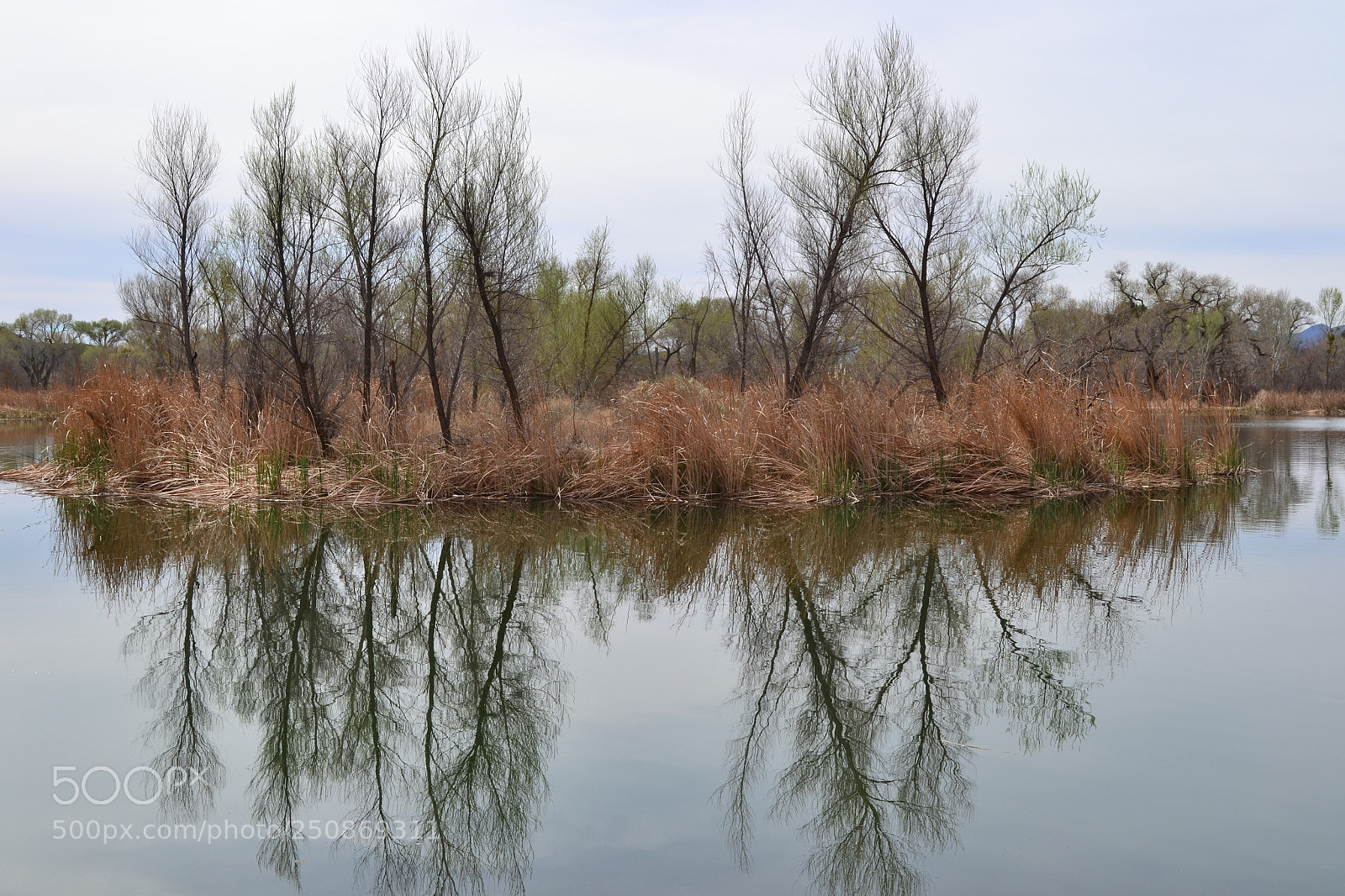 Nikon D3100 sample photo. Still waters photography