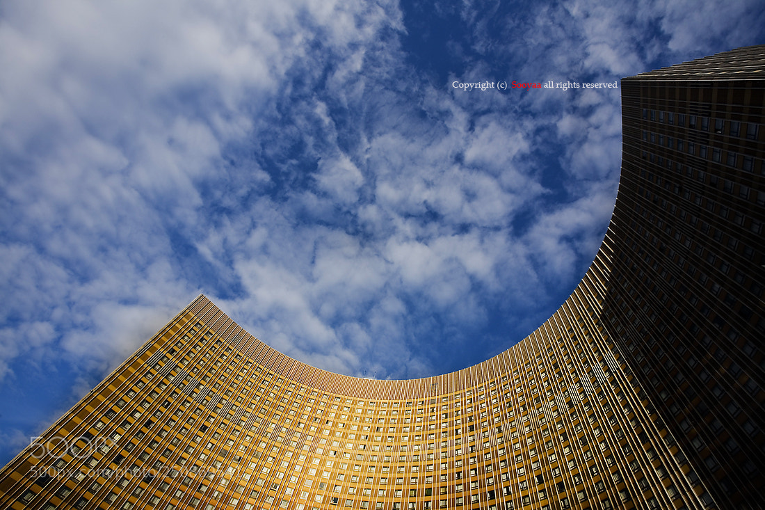 Canon EOS 5D sample photo. Untitled photography