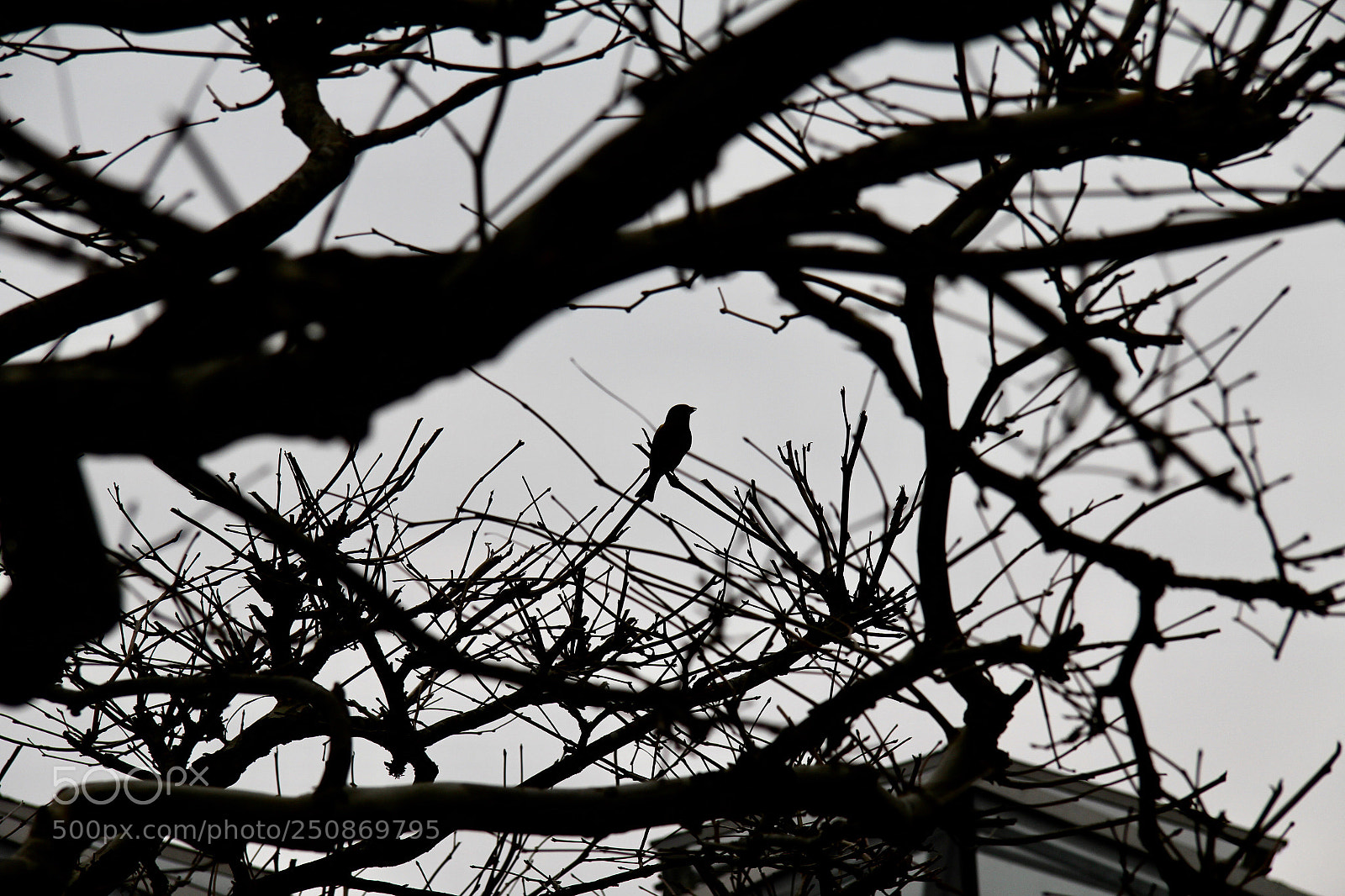 Canon EOS 60D sample photo. Untitled photography