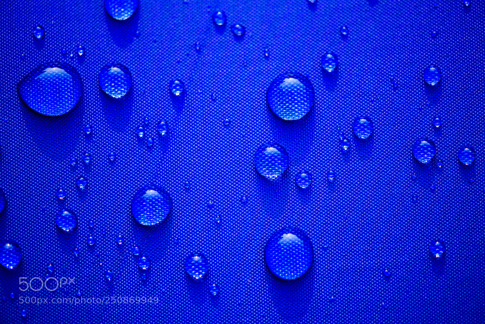 Nikon D810 sample photo. Close up water drops photography