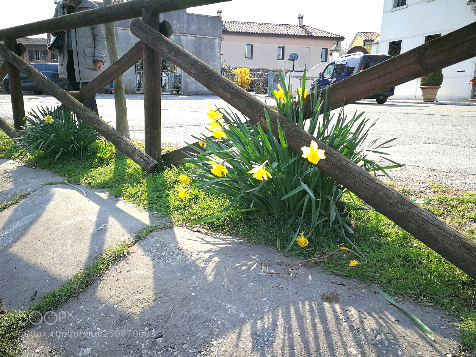 HUAWEI P10 sample photo. Narcisi riva sile fine photography