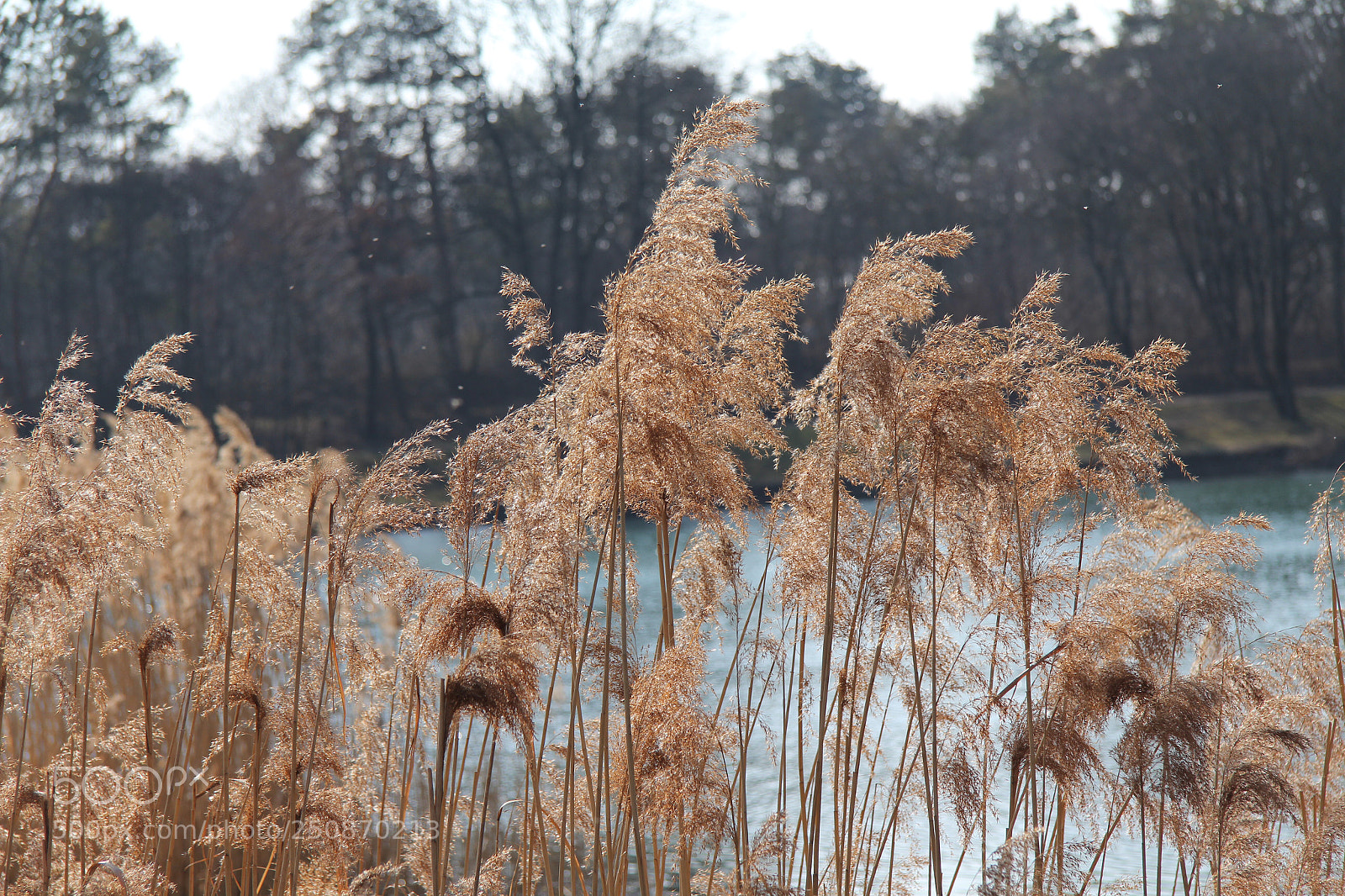 Canon EOS 60D sample photo. Untitled photography