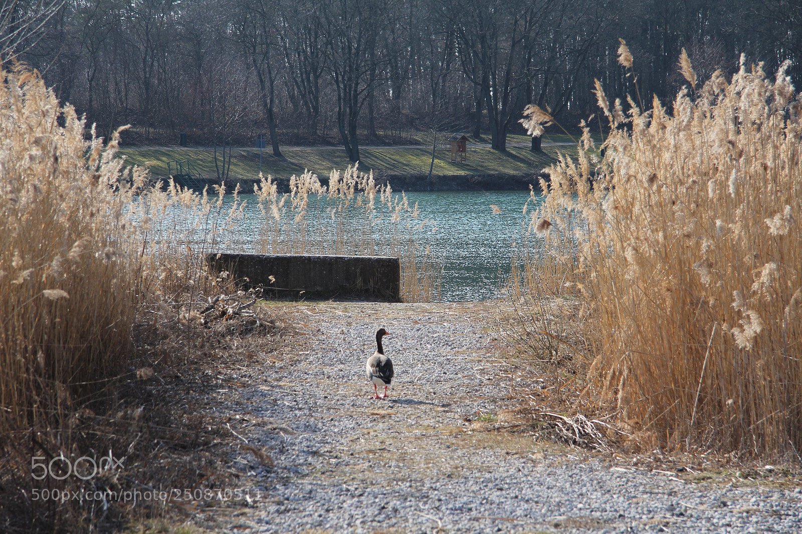Canon EOS 60D sample photo. Untitled photography