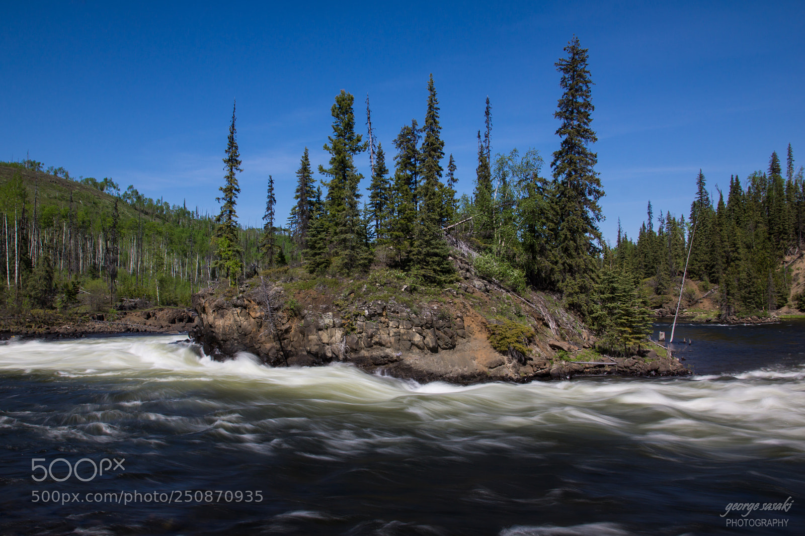Sony SLT-A77 sample photo. In the flow photography