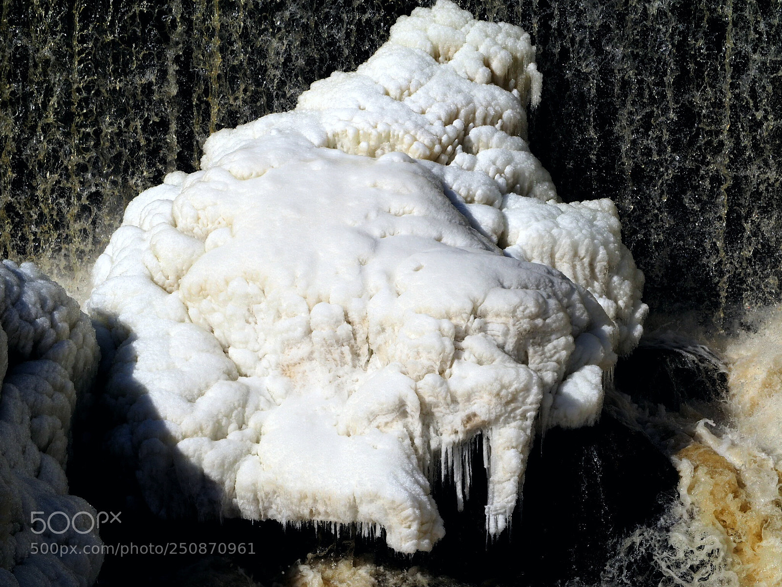 Olympus OM-D E-M10 II sample photo. Ice gube photography