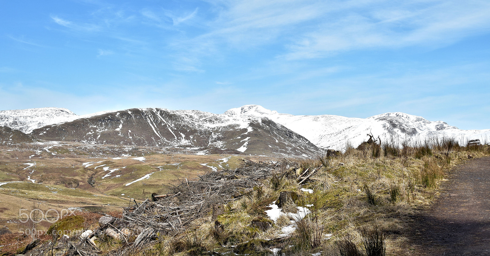 Nikon D5500 sample photo. Callendar walk again photography