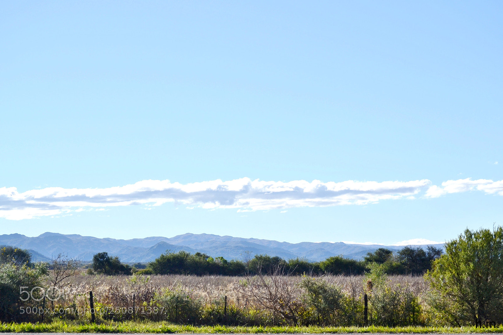 Nikon D3100 sample photo. Aeo () photography