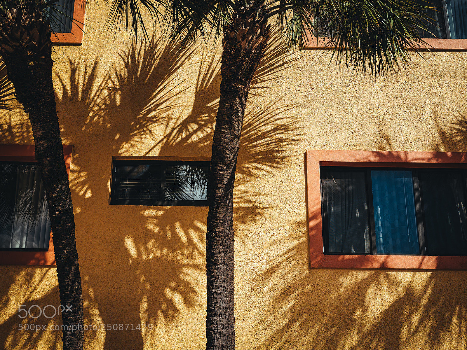 Fujifilm GFX 50S sample photo. Tropic shadows photography