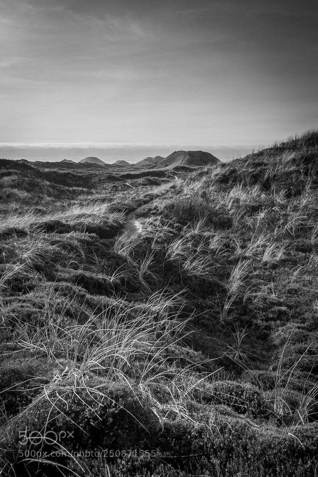 Fujifilm X-T1 sample photo. Vorupør #2 photography