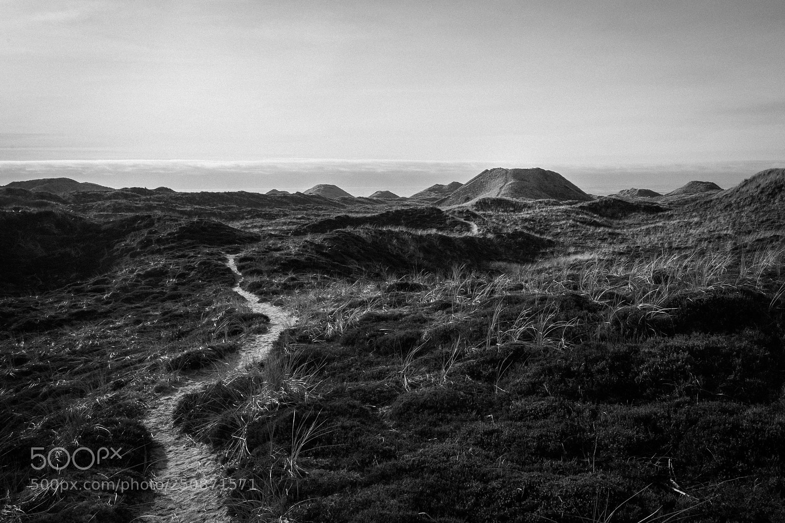 Fujifilm X-T1 sample photo. Vorupør #3 photography