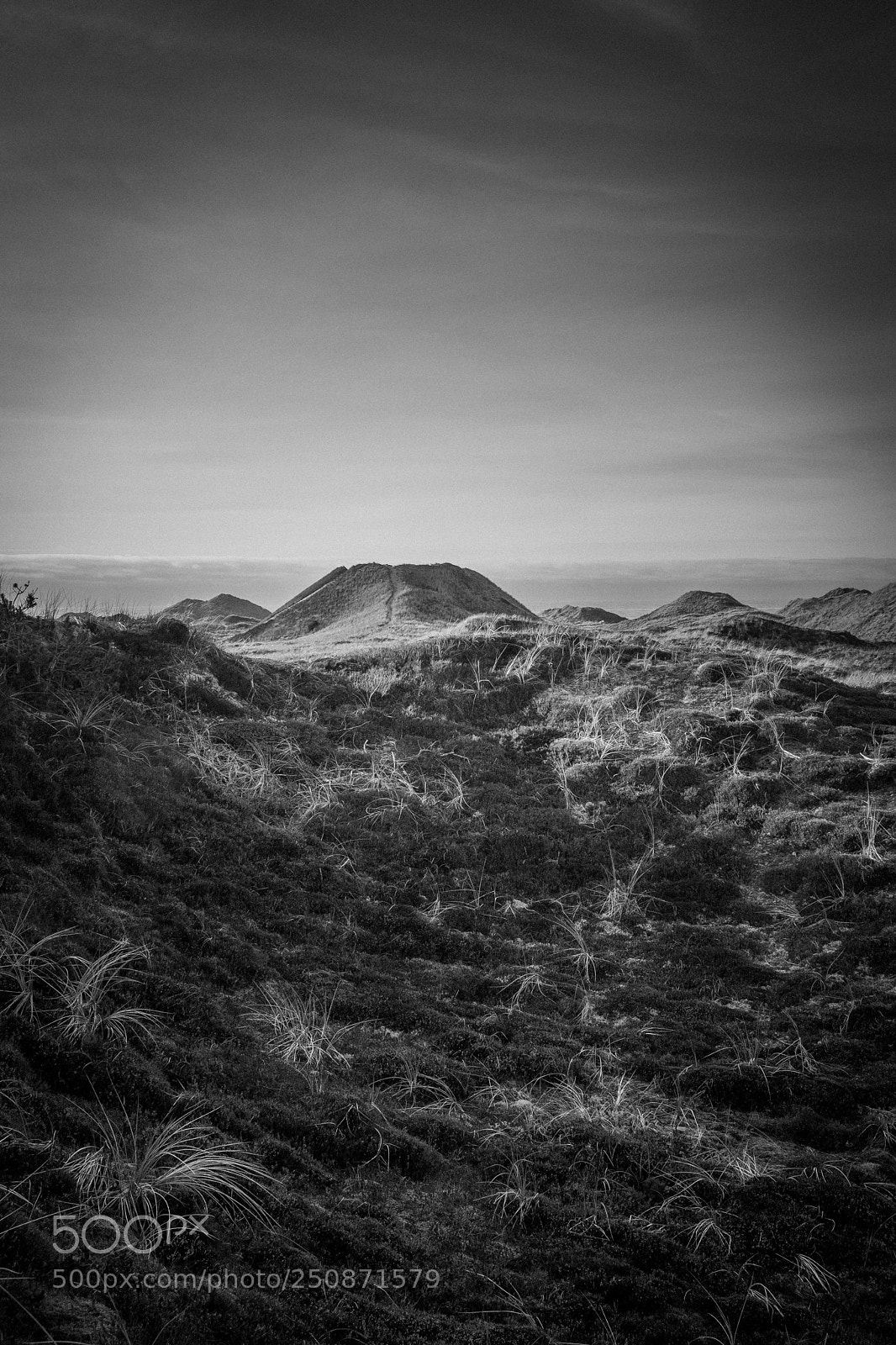 Fujifilm X-T1 sample photo. Vorupør #4 photography