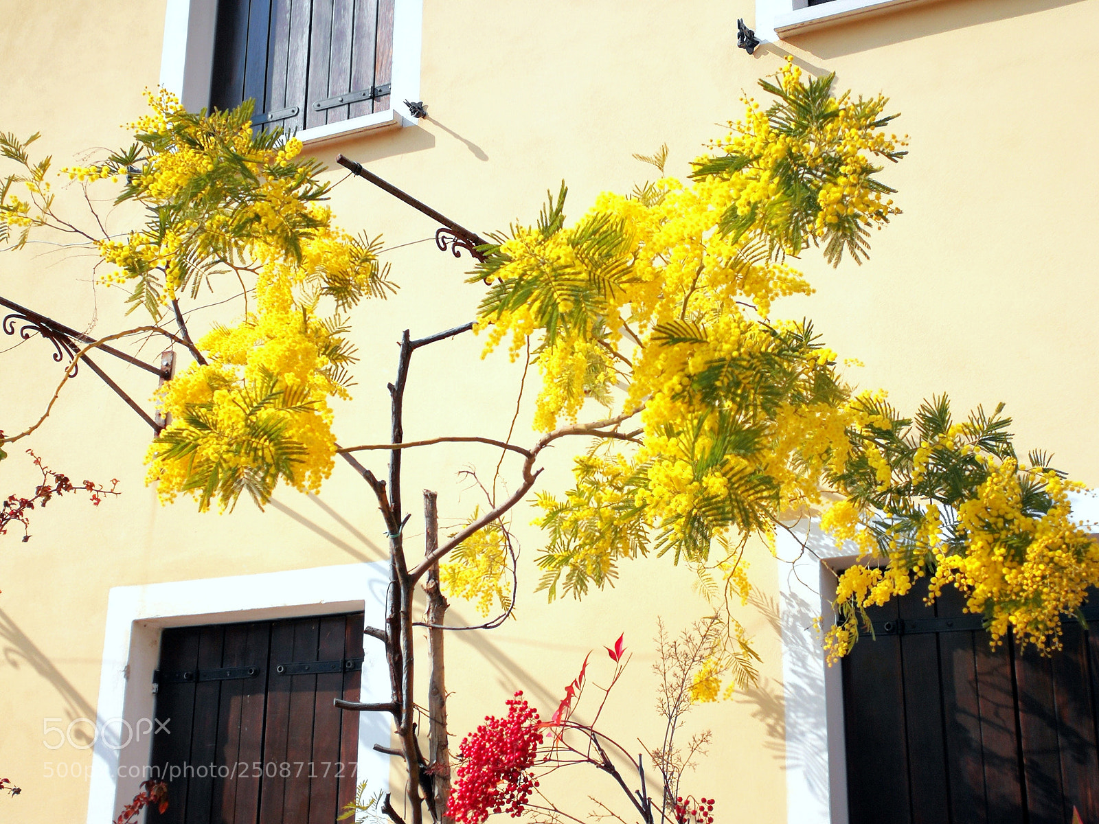 HUAWEI P10 sample photo. Fine marzo riva sile photography