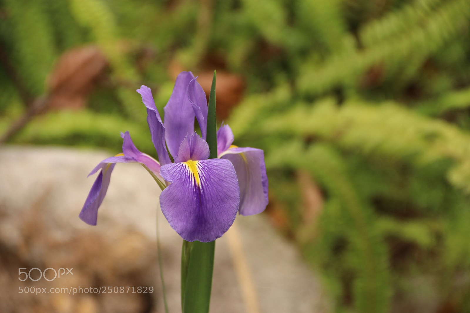 Canon EOS 80D sample photo. Untitled photography