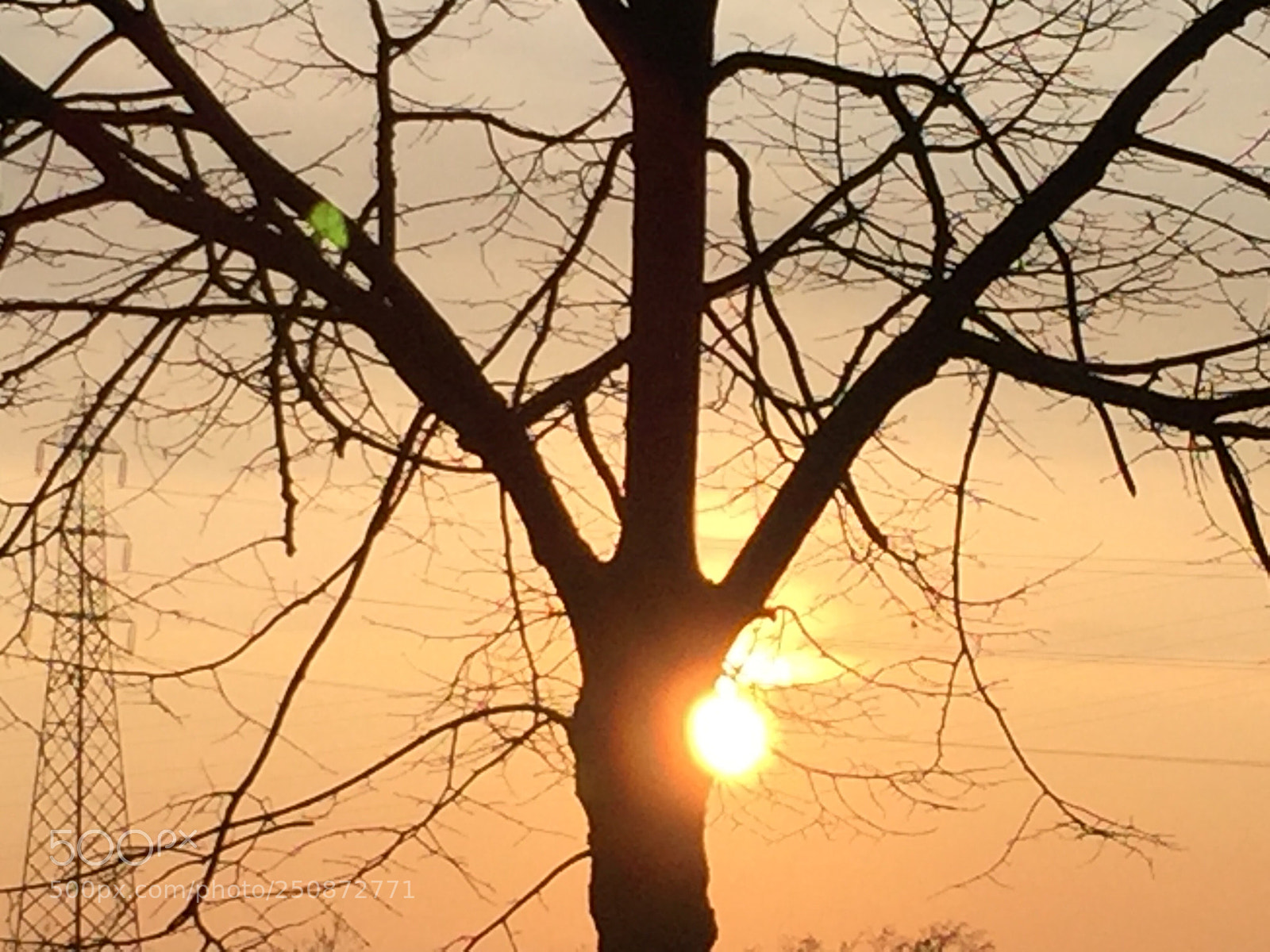 Apple iPhone 6 sample photo. Untitled photography