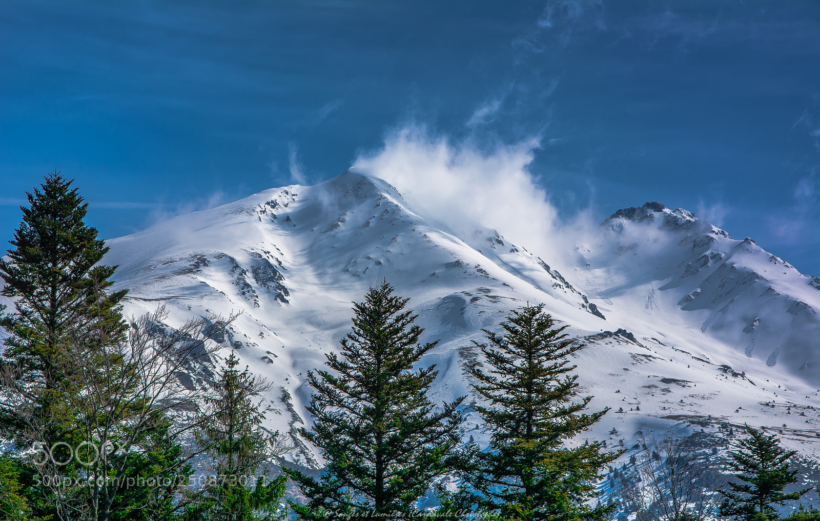 Nikon D7100 sample photo. La grisonnière photography