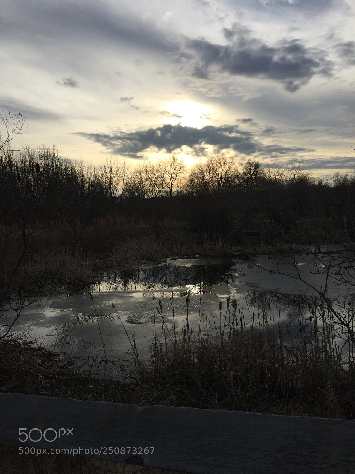 Apple iPhone 6 Plus sample photo. Pond in winter photography