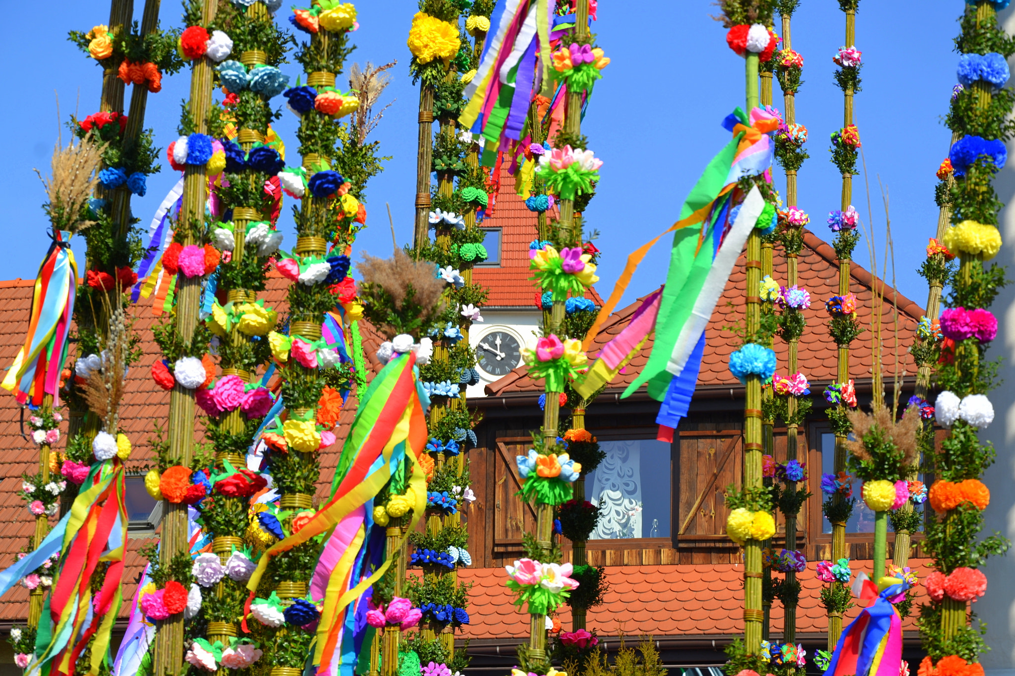 Nikon D3100 sample photo. Palm sunday photography