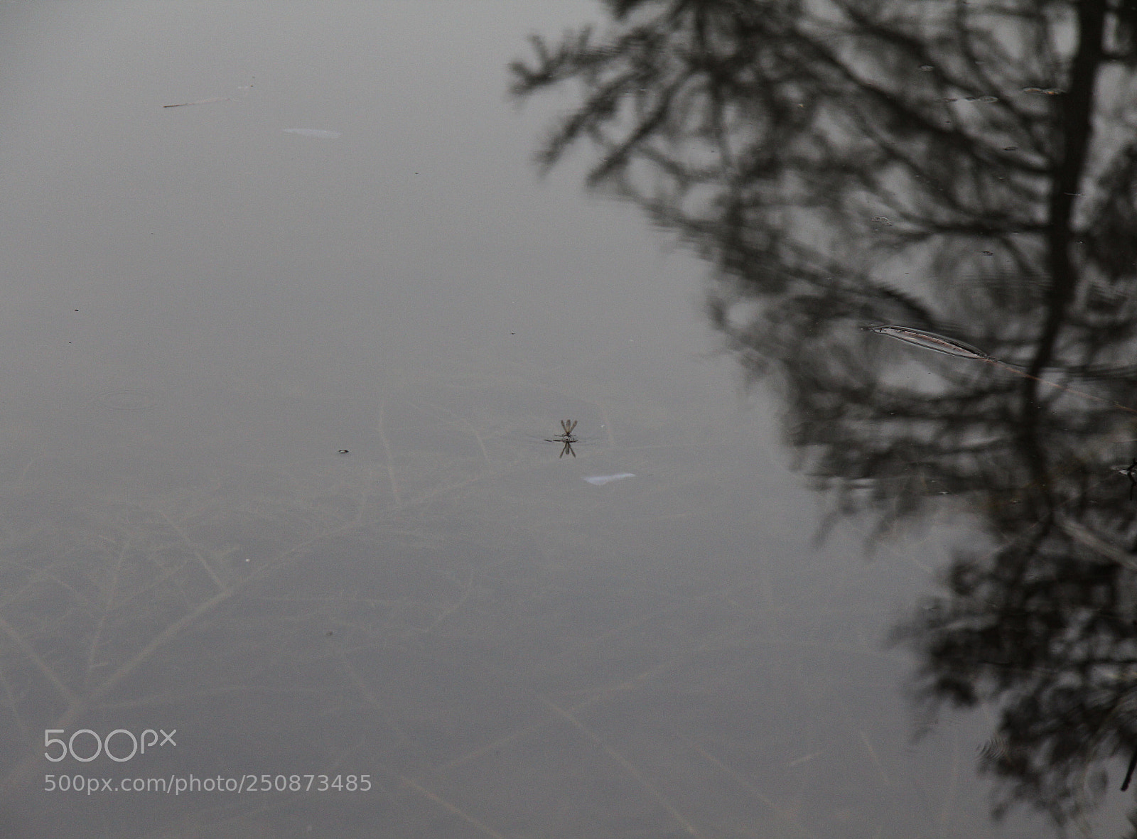 Canon EOS 60D sample photo. Untitled photography