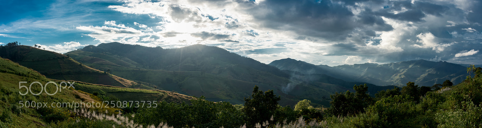 Nikon D7200 sample photo. Shining through. photography