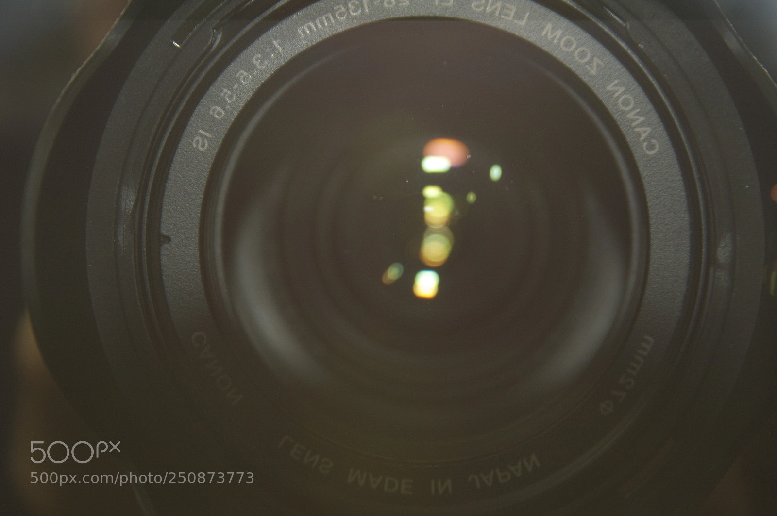 Canon EOS 40D sample photo. Mm lens photography