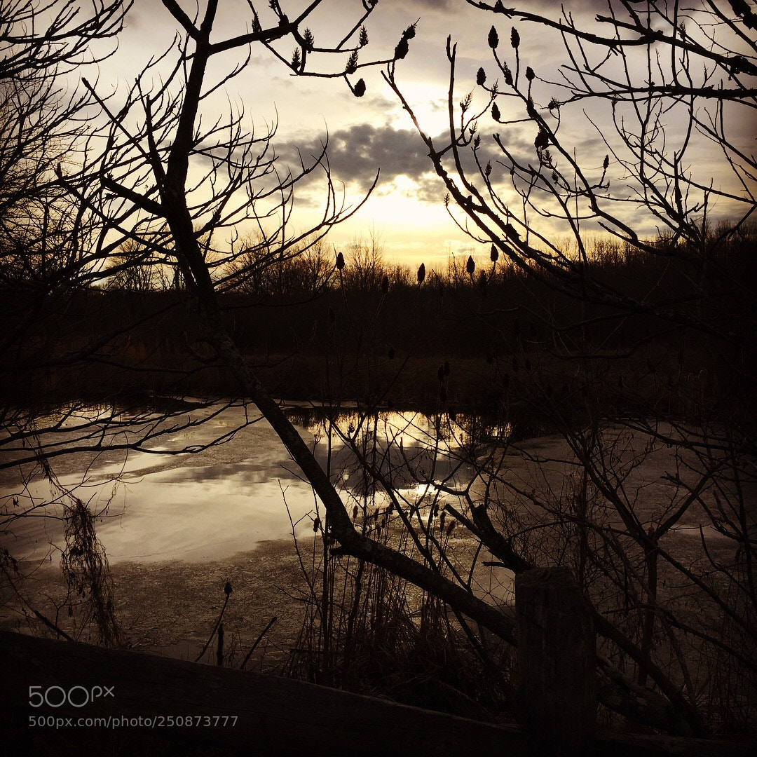 Apple iPhone 6 Plus sample photo. Winter afternoon photography