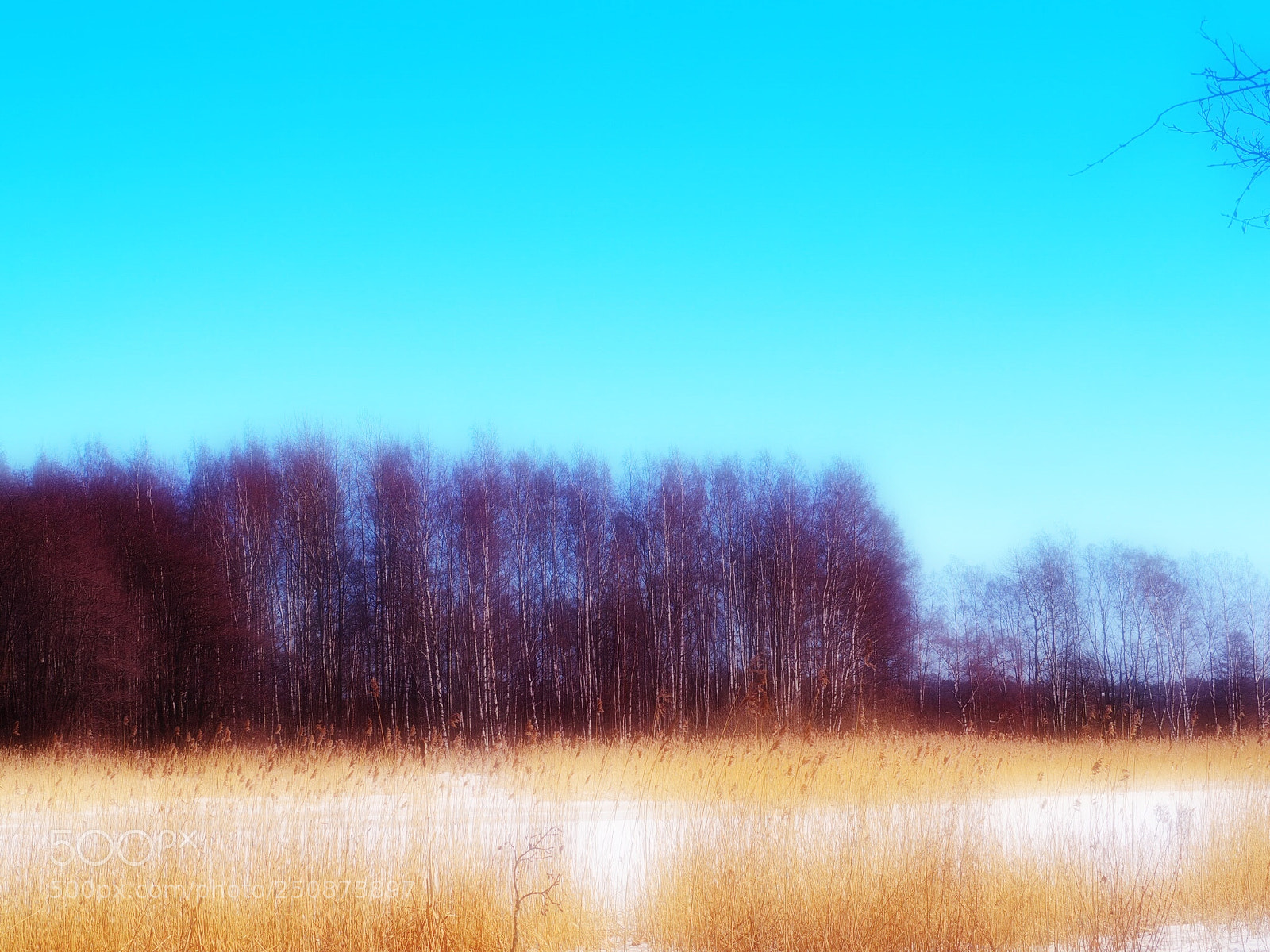 Olympus OM-D E-M10 II sample photo. Island photography