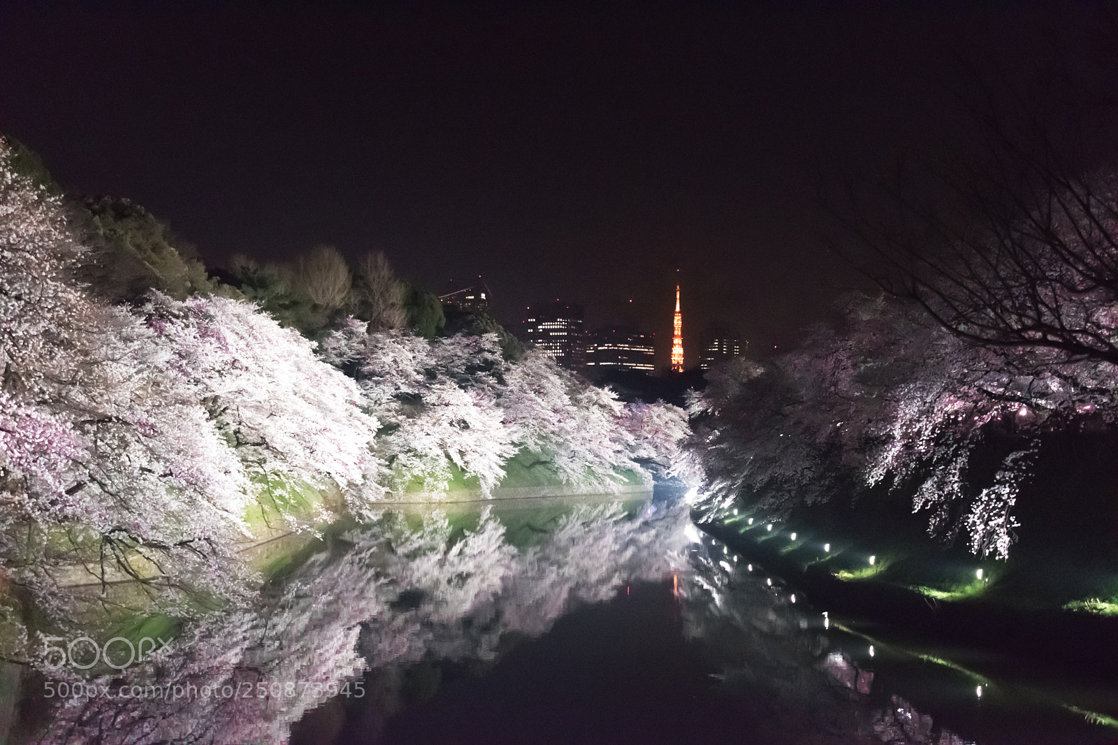 Nikon D5600 sample photo. Untitled photography