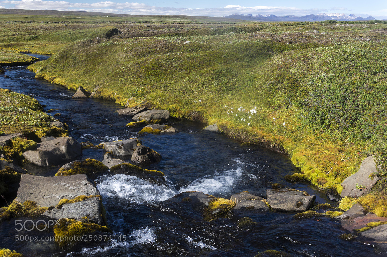 Nikon D7200 sample photo. Green oasis in the photography