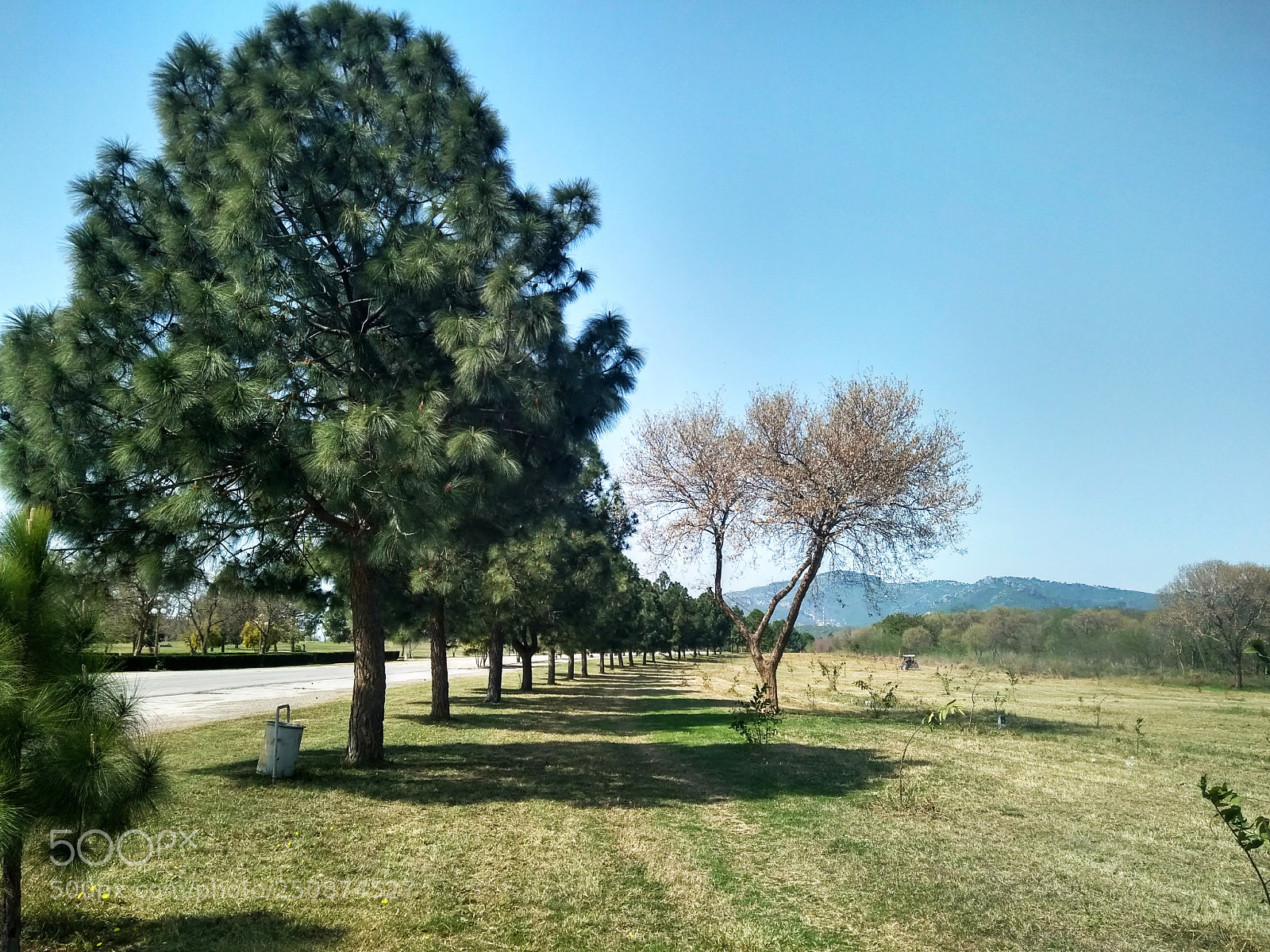 Xiaomi Redmi 4A sample photo. Untitled photography