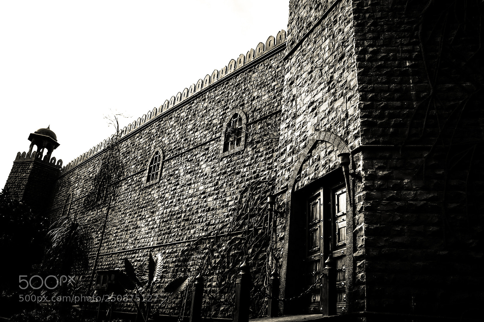 Sony SLT-A58 sample photo. B&w photography