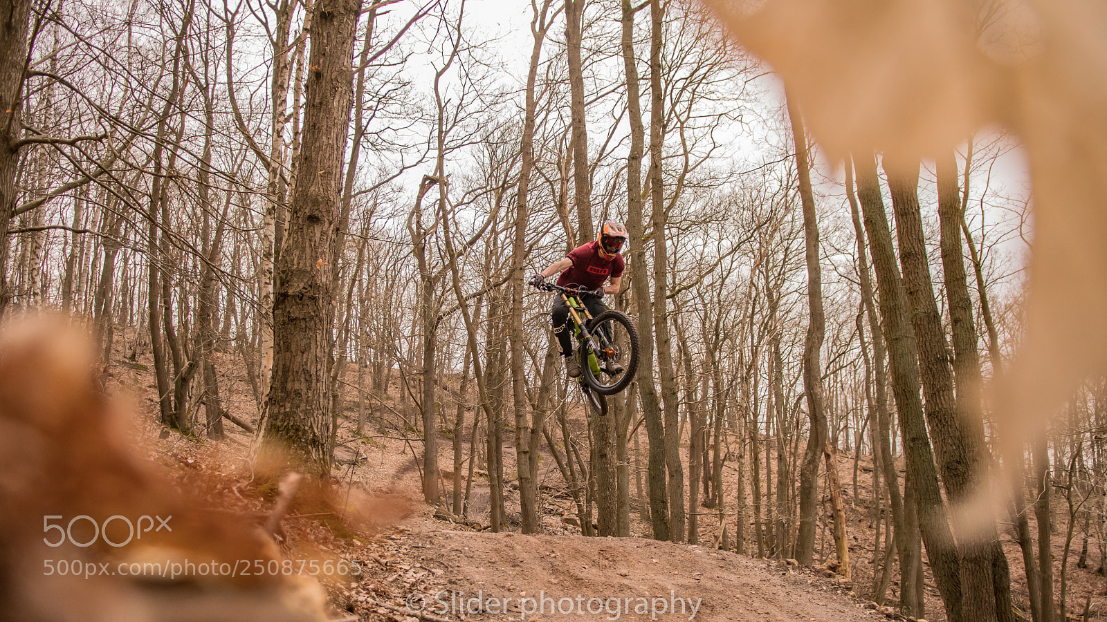 Nikon D7500 sample photo. Louis in the forest photography