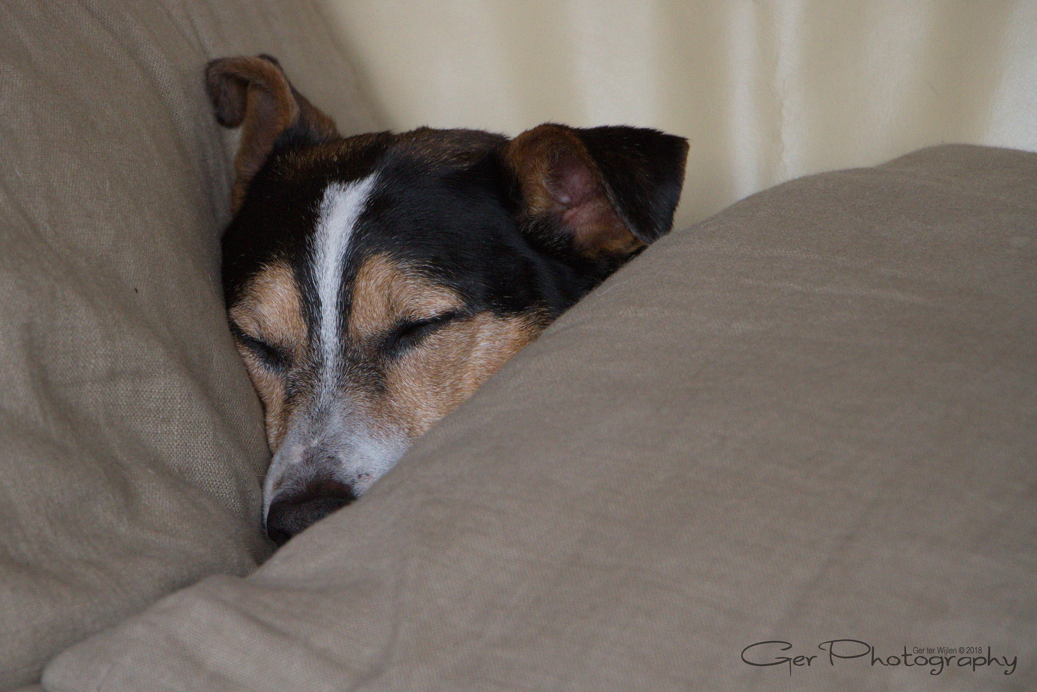 Canon EOS 7D sample photo. Deep sleep photography