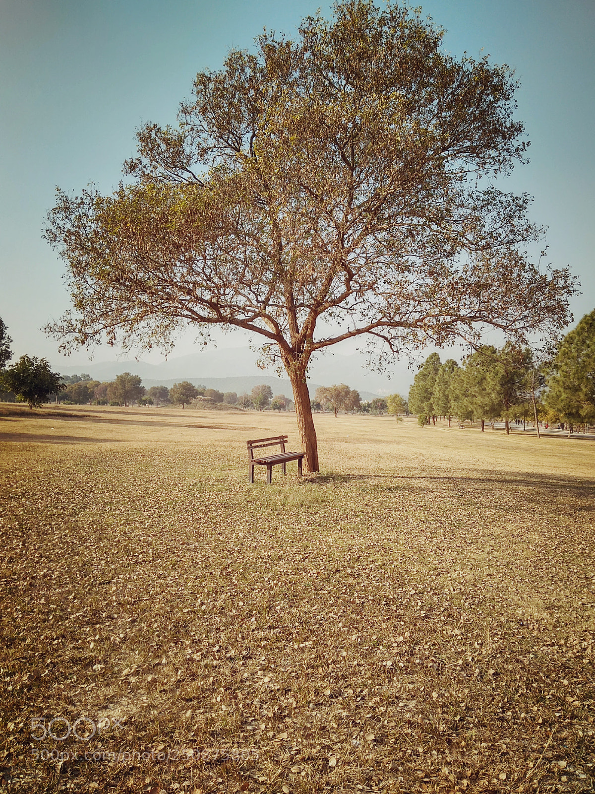 Xiaomi Redmi 4A sample photo. Untitled photography