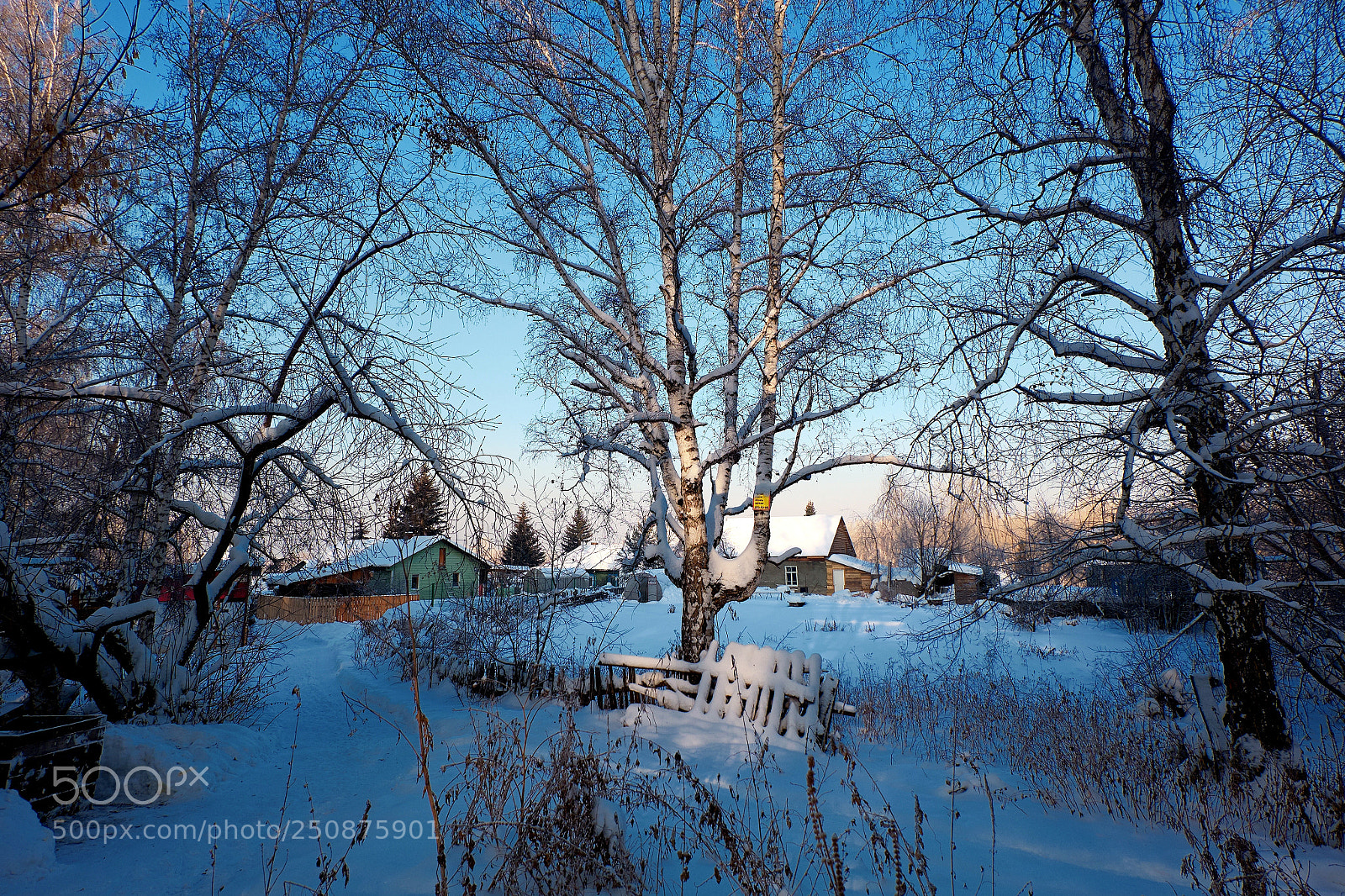Fujifilm X-M1 sample photo. House in a twilight photography