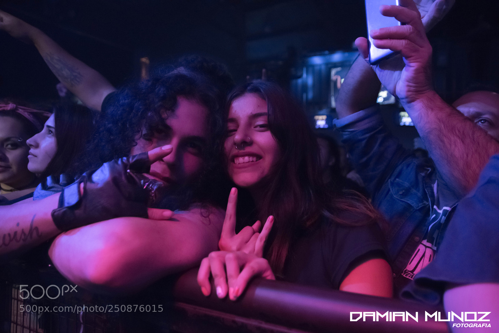 Nikon D3300 sample photo. Zorra_xlr_24mar18 photography