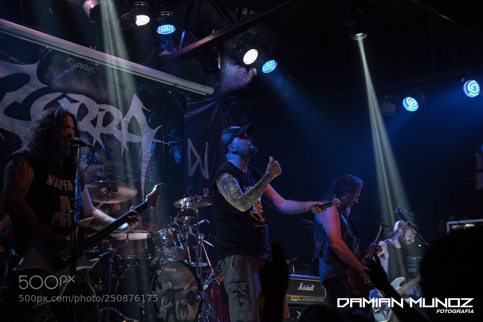 Nikon D3300 sample photo. Zorra_xlr_24mar18 photography