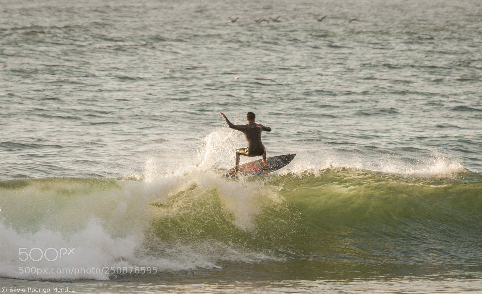 Nikon D5000 sample photo. Christian ibarra - floater photography