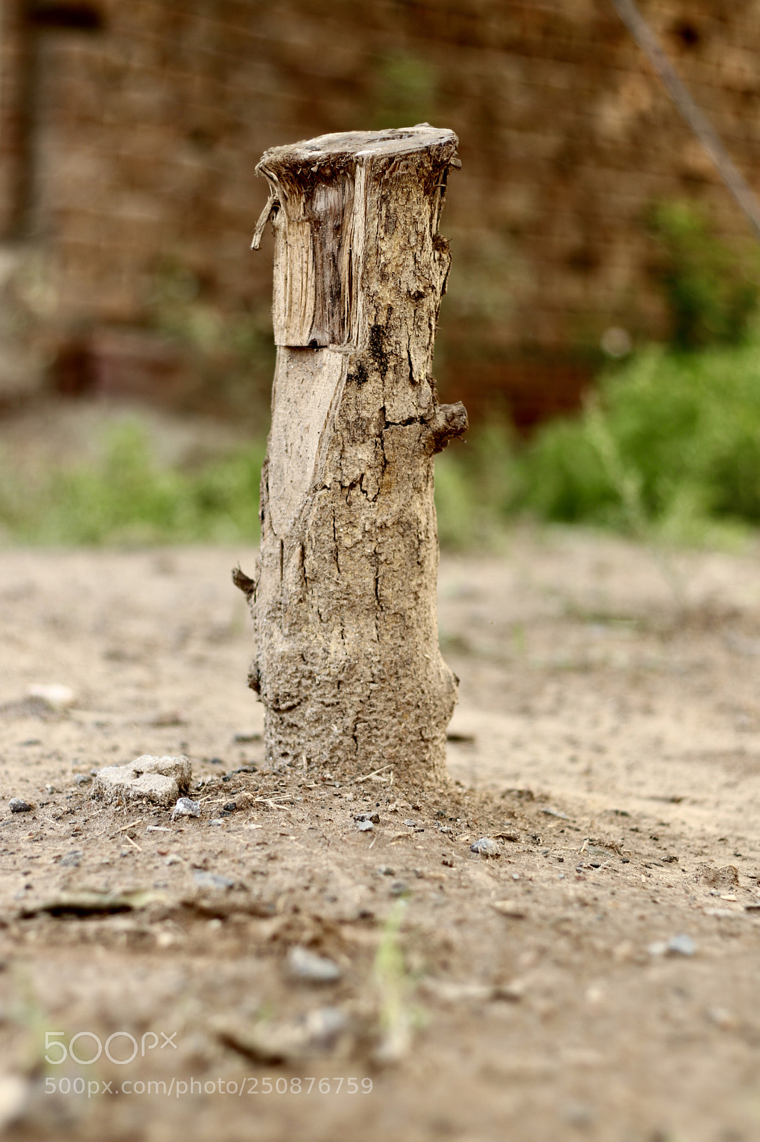 Canon EOS 80D sample photo. Aeb fdcf photography