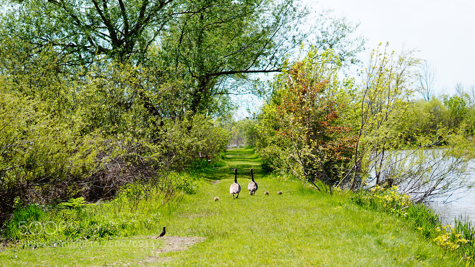 Sony a6000 sample photo. A picture perfect family photography