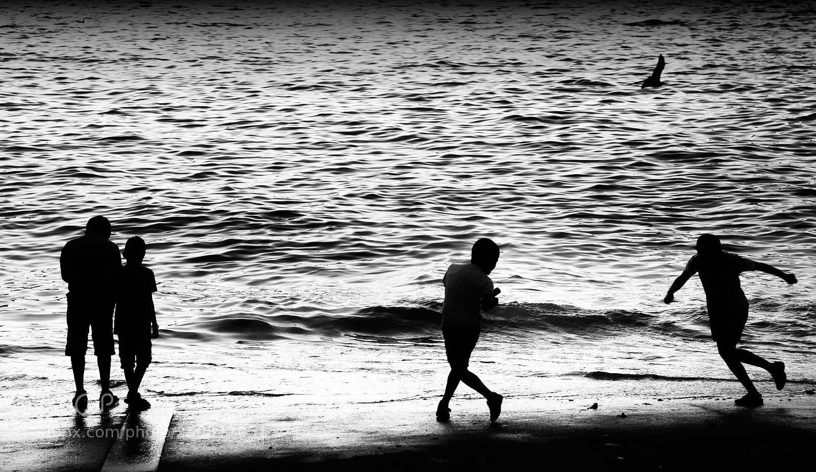 Canon EOS 5D sample photo. Como objeto inteligente photography