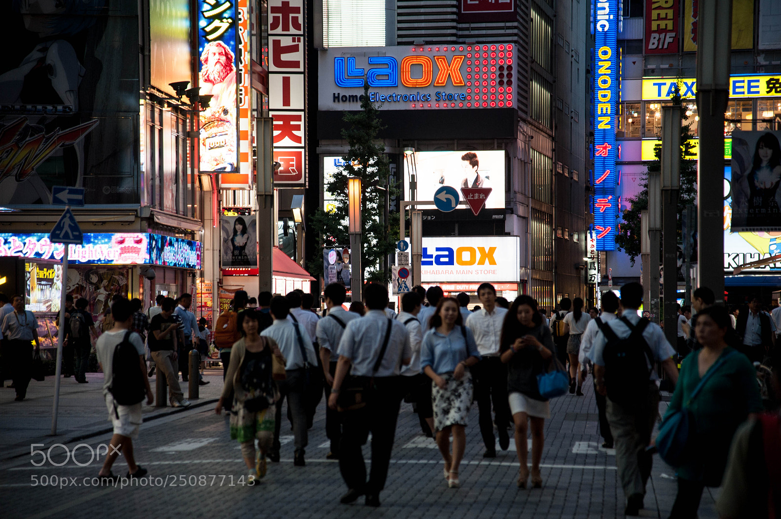 Nikon D700 sample photo. Japan photography