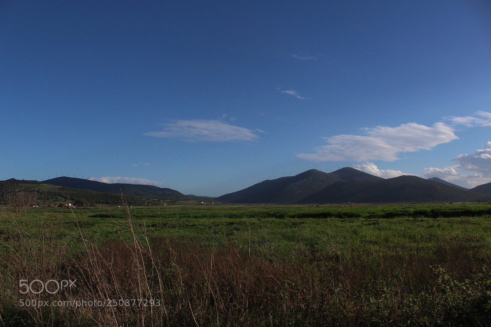 Canon EOS 100D (EOS Rebel SL1 / EOS Kiss X7) sample photo. Landing in evoia photography