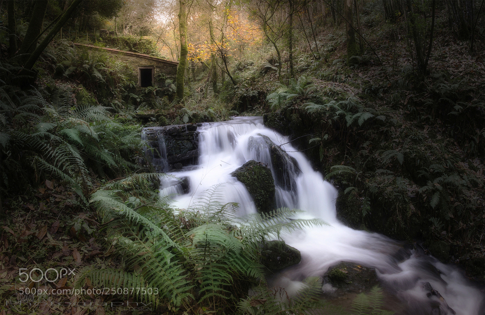 Nikon D7000 sample photo. Mill waterfall photography
