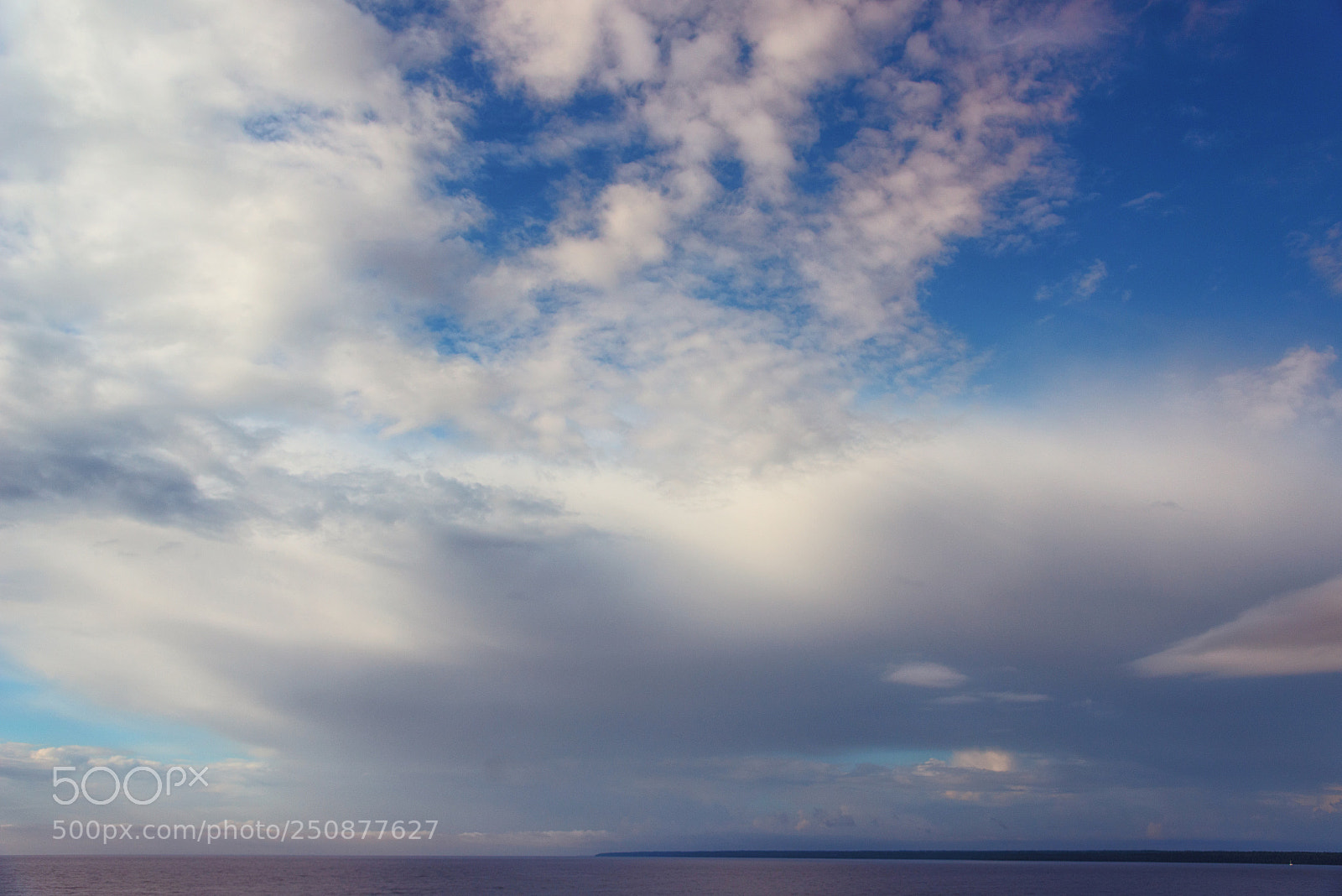 Nikon D800 sample photo. Kon photography