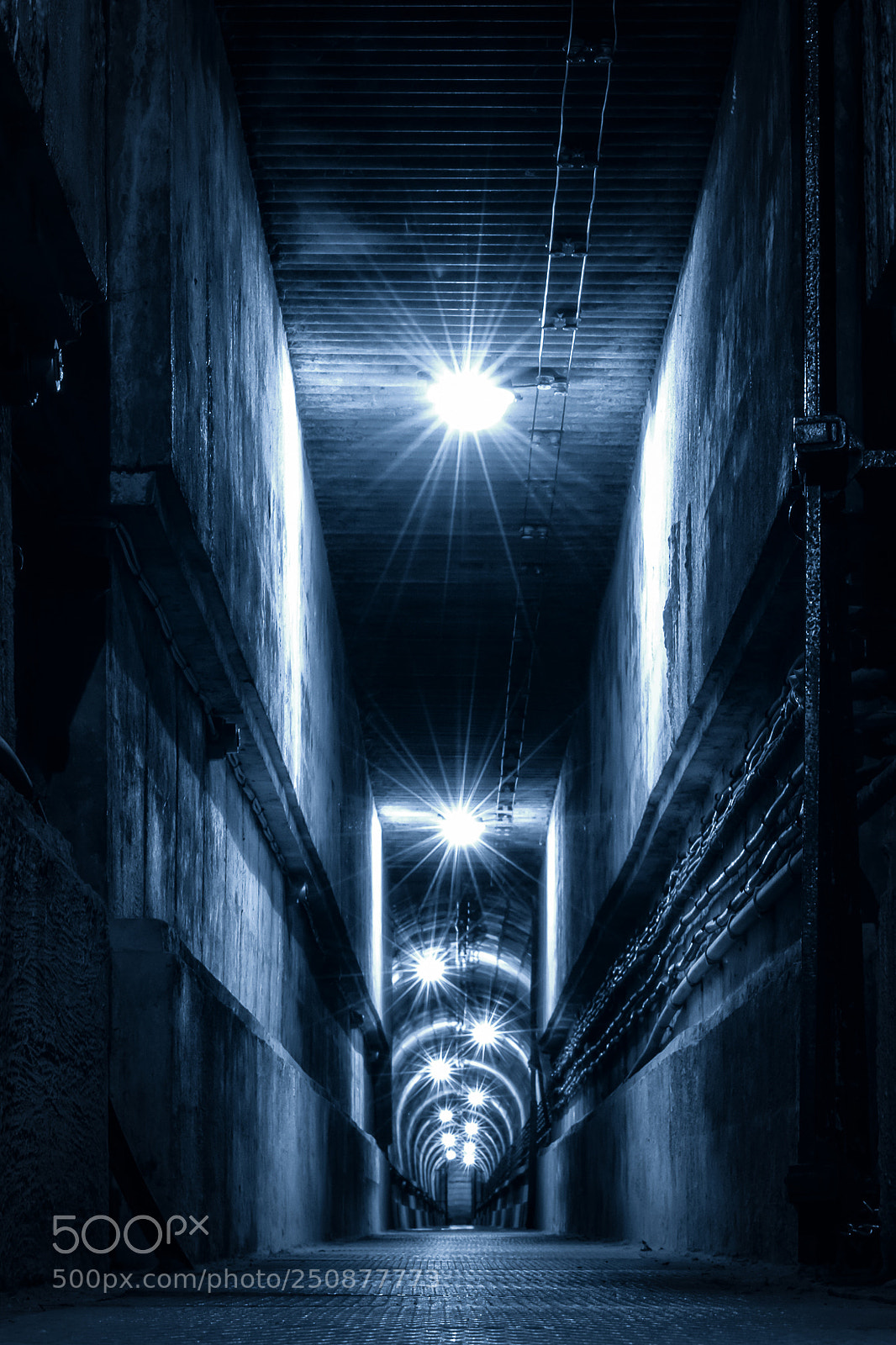 Nikon D810 sample photo. "alcatraz" photography
