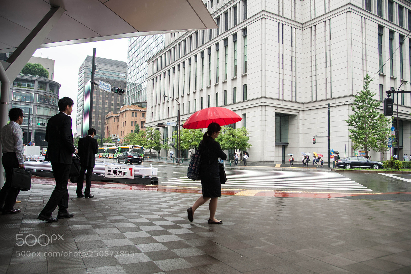Nikon D700 sample photo. Japan photography
