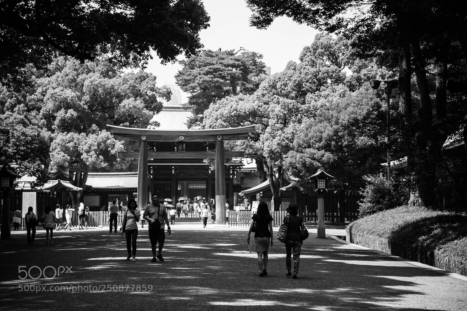 Nikon D700 sample photo. Japan photography