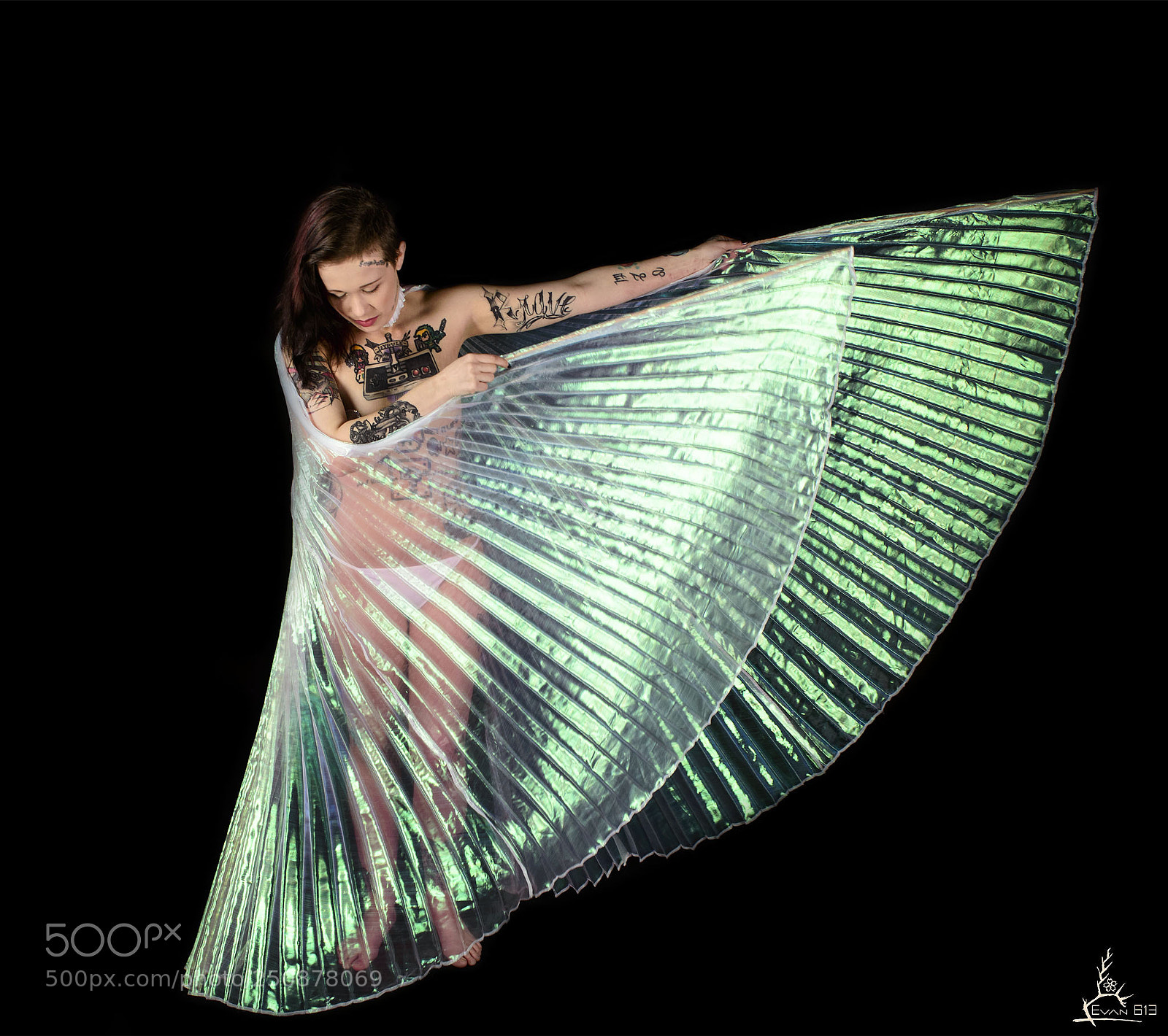 Nikon D3200 sample photo. Catt 01, isis wings photography