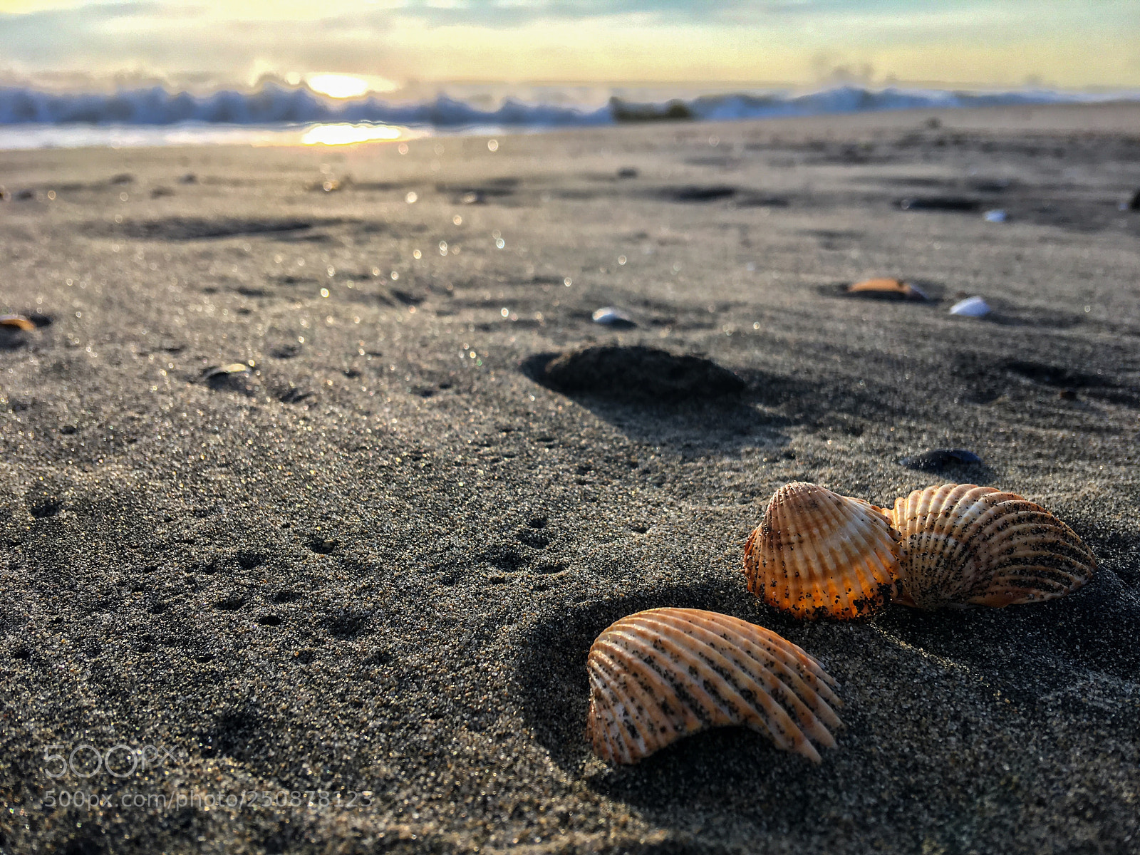 Apple iPhone 6s Plus sample photo. Waiting for summer  photography