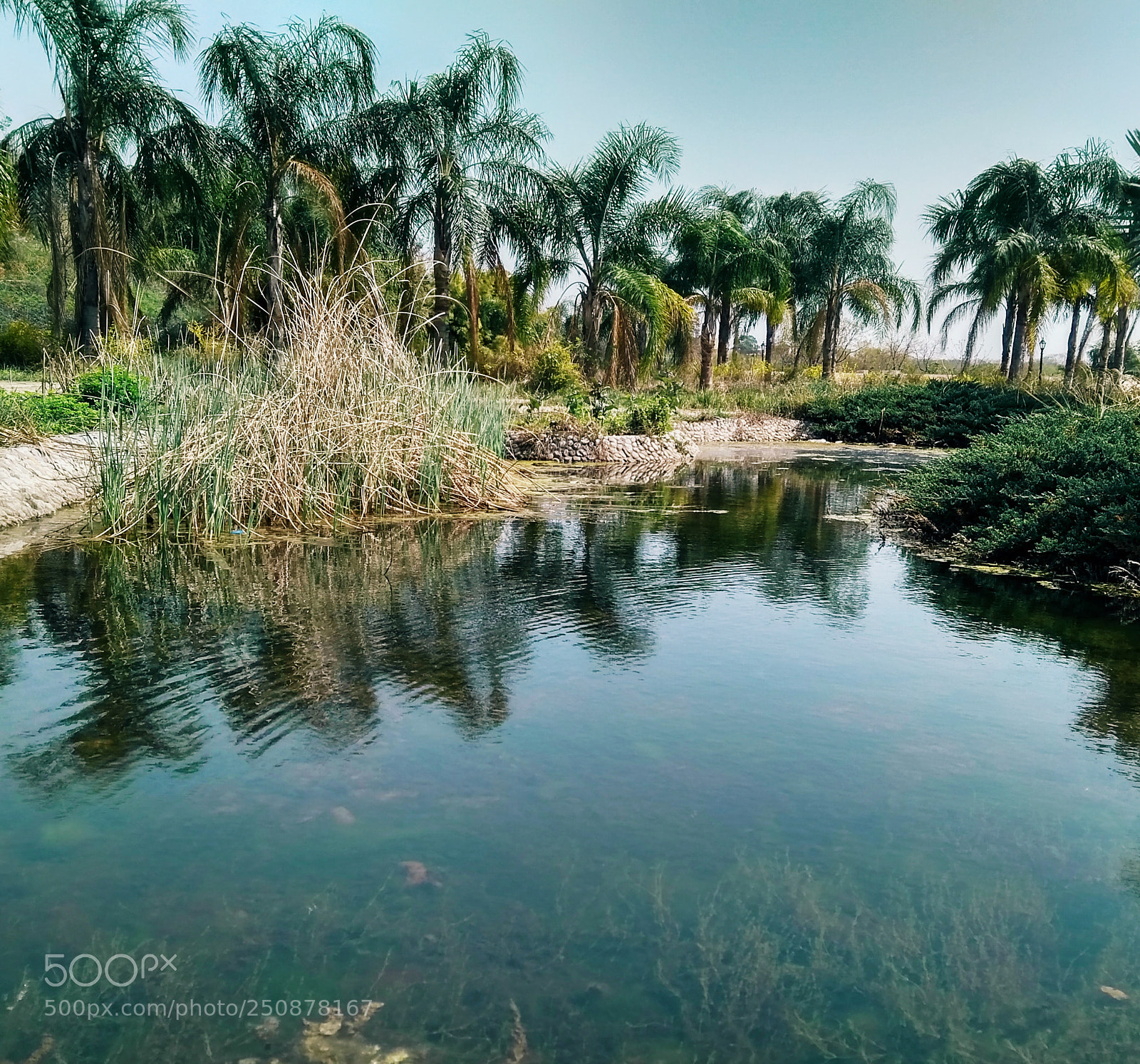 Xiaomi Redmi 4A sample photo. Untitled photography